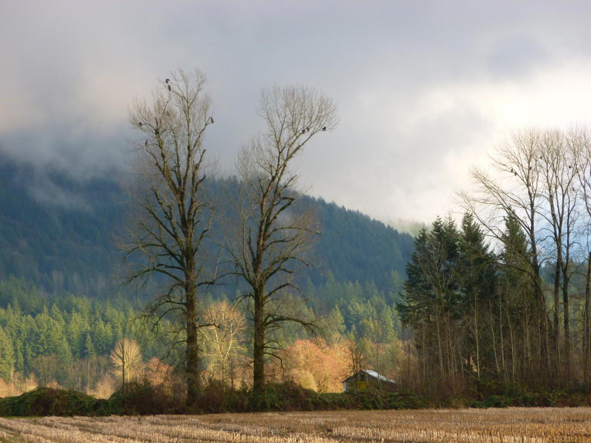 Harrison Hammond House Farmstay Harrison Mills Zewnętrze zdjęcie