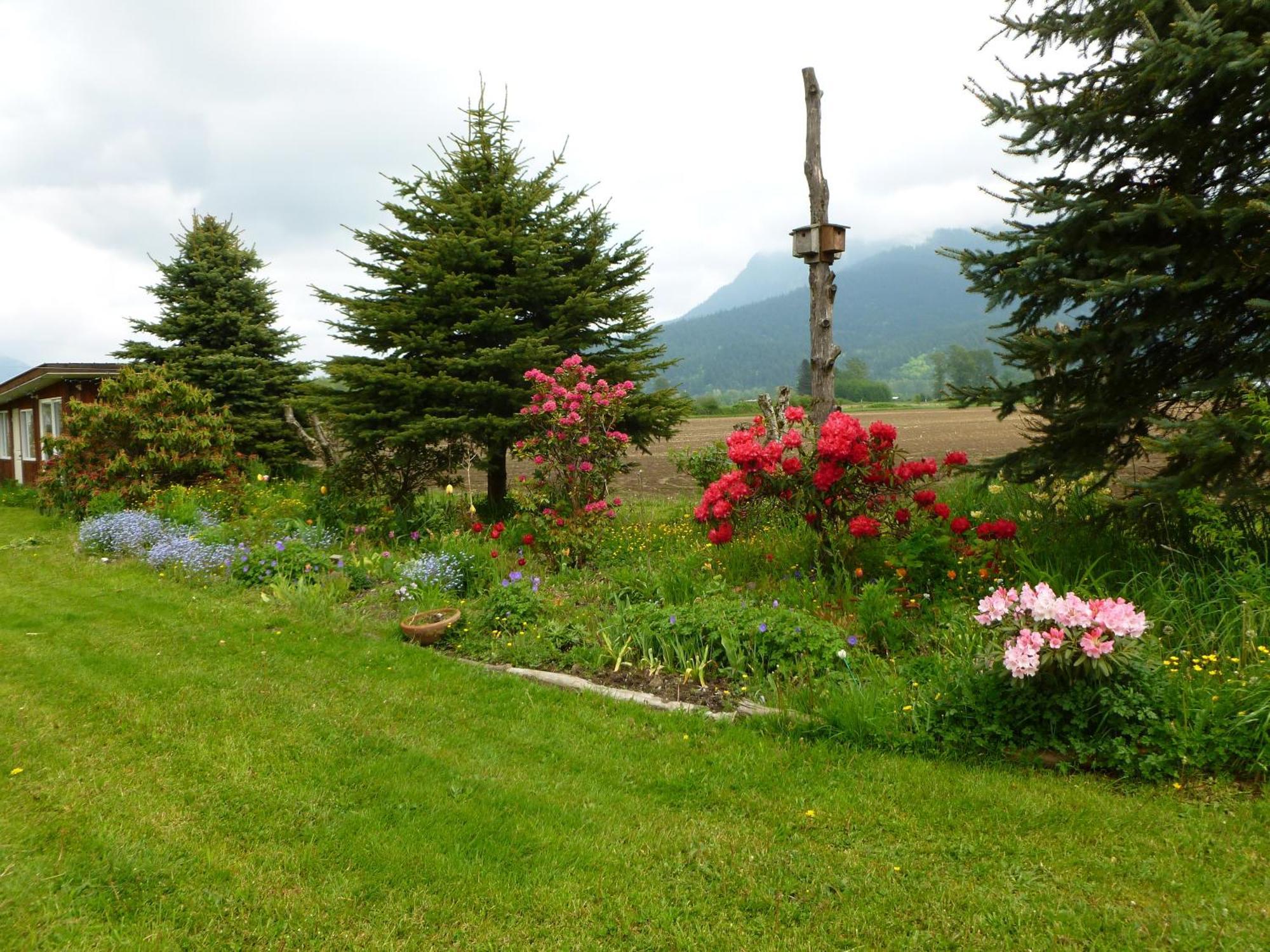 Harrison Hammond House Farmstay Harrison Mills Zewnętrze zdjęcie