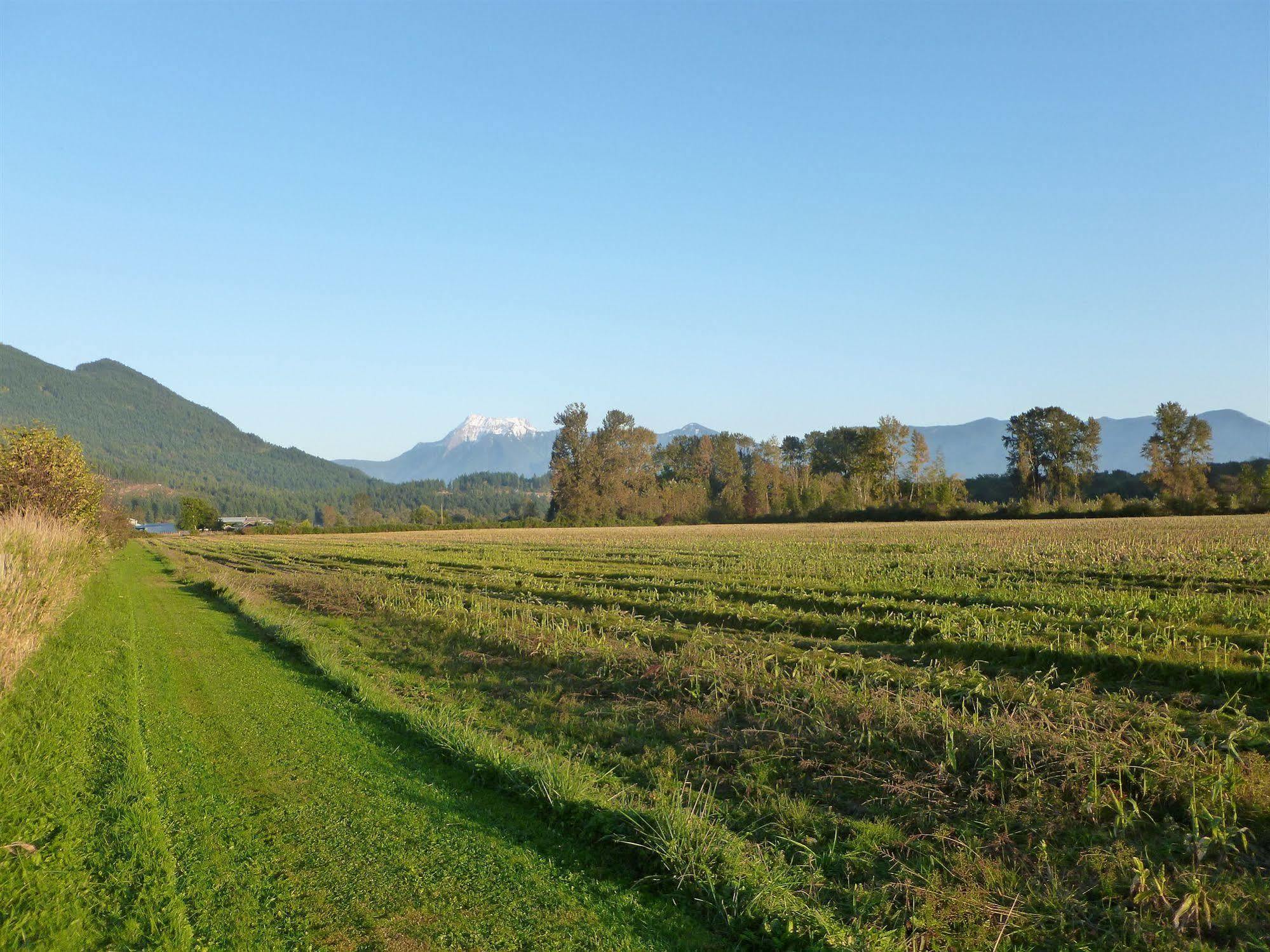Harrison Hammond House Farmstay Harrison Mills Zewnętrze zdjęcie
